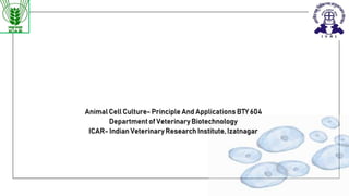 Animal Cell Culture- Principle And Applications BTY 604
Departmentof Veterinary Biotechnology
ICAR- Indian Veterinary Research Institute, Izatnagar
 