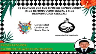 10 CULTIVOS CON SUS TIPOS DE REPRODUCCION
(5 DE REPRODUCCION SEXUAL Y 5 DE
REPRODUCCION ASEXUAL).
 