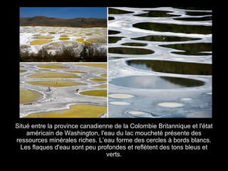 Situé entre la province canadienne de la Colombie Britannique et l'état
    américain de Washington, l'eau du lac moucheté présente des
ressources minérales riches. L’eau forme des cercles à bords blancs.
  Les flaques d'eau sont peu profondes et reflètent des tons bleus et
                                verts.
 