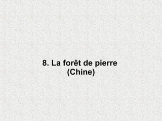 8. La forêt de pierre
       (Chine)
 