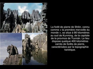 La forêt de pierre de Shilin, connu
comme « la première merveille du
monde », se situe à 86 kilomètres
au sud de Kunming, de la capitale
de la province de Yunnán. Le lieu
 dispose quelque 400 kilomètres
    carrés de forêts de pierre,
 caractérisées par la topographie
             karstique.
 