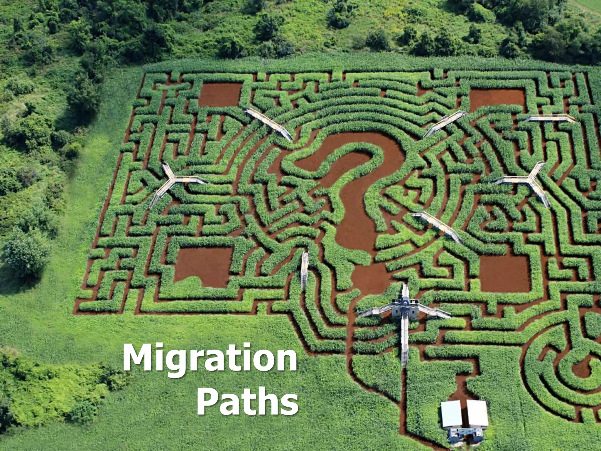 Migration
Paths
 