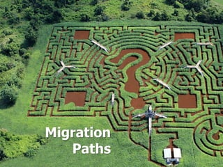 Migration
Paths
 