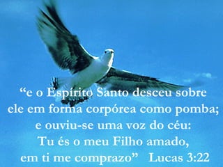 “e o Espírito Santo desceu sobre
ele em forma corpórea como pomba;
e ouviu-se uma voz do céu:
Tu és o meu Filho amado,
em ti me comprazo” Lucas 3:22
 