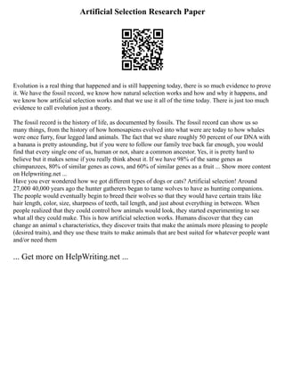 Artificial Selection Research Paper
Evolution is a real thing that happened and is still happening today, there is so much evidence to prove
it. We have the fossil record, we know how natural selection works and how and why it happens, and
we know how artificial selection works and that we use it all of the time today. There is just too much
evidence to call evolution just a theory.
The fossil record is the history of life, as documented by fossils. The fossil record can show us so
many things, from the history of how homosapiens evolved into what were are today to how whales
were once furry, four legged land animals. The fact that we share roughly 50 percent of our DNA with
a banana is pretty astounding, but if you were to follow our family tree back far enough, you would
find that every single one of us, human or not, share a common ancestor. Yes, it is pretty hard to
believe but it makes sense if you really think about it. If we have 98% of the same genes as
chimpanzees, 80% of similar genes as cows, and 60% of similar genes as a fruit ... Show more content
on Helpwriting.net ...
Have you ever wondered how we got different types of dogs or cats? Artificial selection! Around
27,000 40,000 years ago the hunter gatherers began to tame wolves to have as hunting companions.
The people would eventually begin to breed their wolves so that they would have certain traits like
hair length, color, size, sharpness of teeth, tail length, and just about everything in between. When
people realized that they could control how animals would look, they started experimenting to see
what all they could make. This is how artificial selection works. Humans discover that they can
change an animal s characteristics, they discover traits that make the animals more pleasing to people
(desired traits), and they use these traits to make animals that are best suited for whatever people want
and/or need them
... Get more on HelpWriting.net ...
 