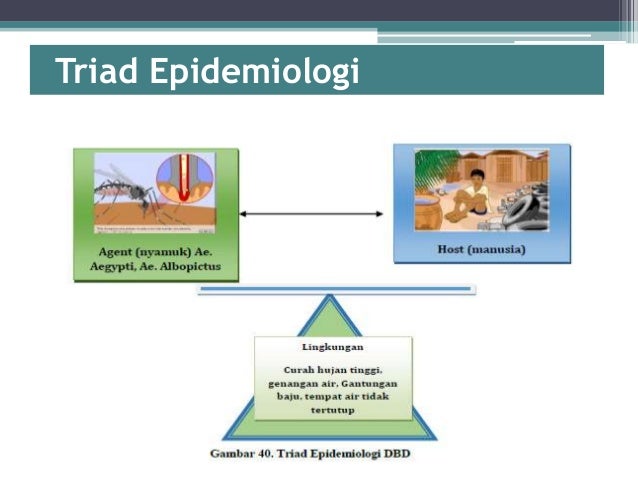 BAB 10 EPidemiologi Penyakit Menular Demam Berdarah Dengue