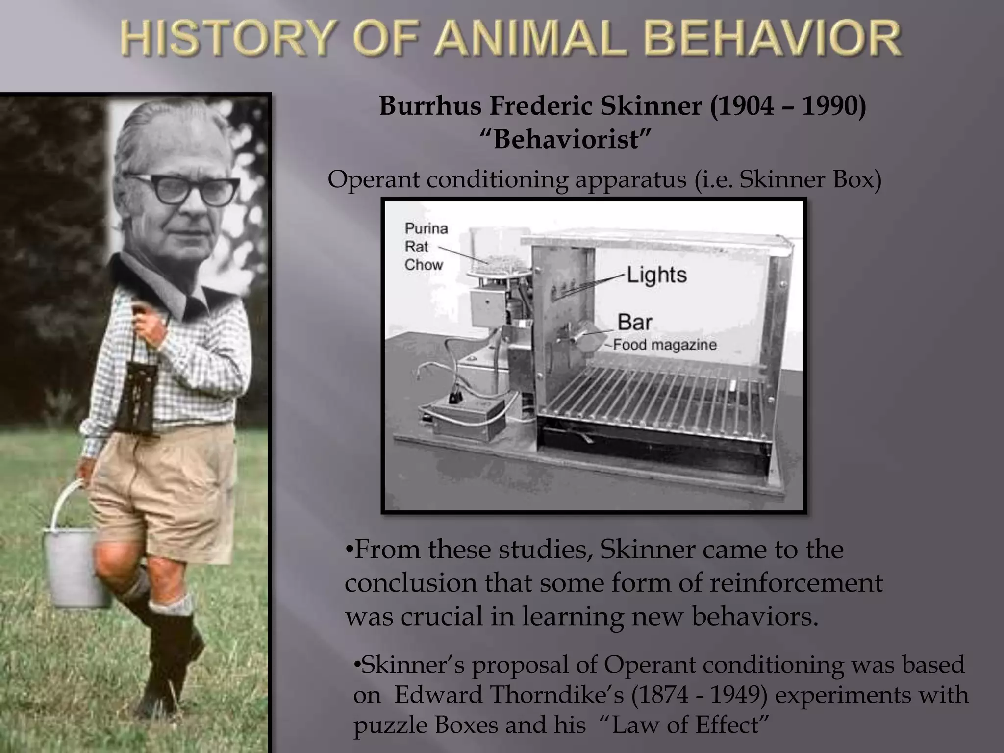 Burrhus Frederic Skinner (1904 – 1990)
“Behaviorist”
Operant conditioning apparatus (i.e. Skinner Box)
•From these studies, Skinner came to the
conclusion that some form of reinforcement
was crucial in learning new behaviors.
•Skinner’s proposal of Operant conditioning was based
on Edward Thorndike’s (1874 - 1949) experiments with
puzzle Boxes and his “Law of Effect”
 