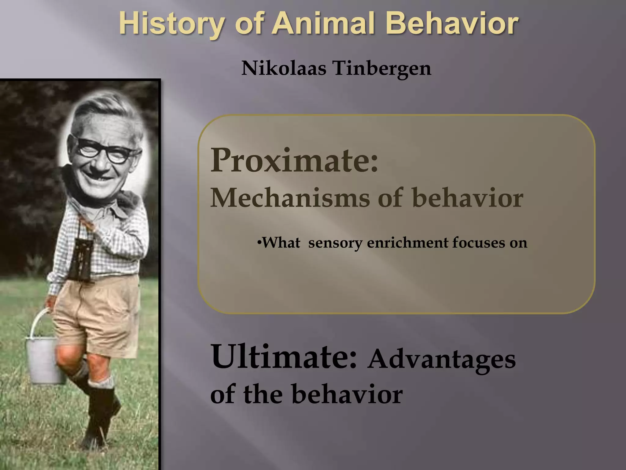 Nikolaas Tinbergen
Proximate:
Mechanisms of behavior
Ultimate: Advantages
of the behavior
•What sensory enrichment focuses on
 