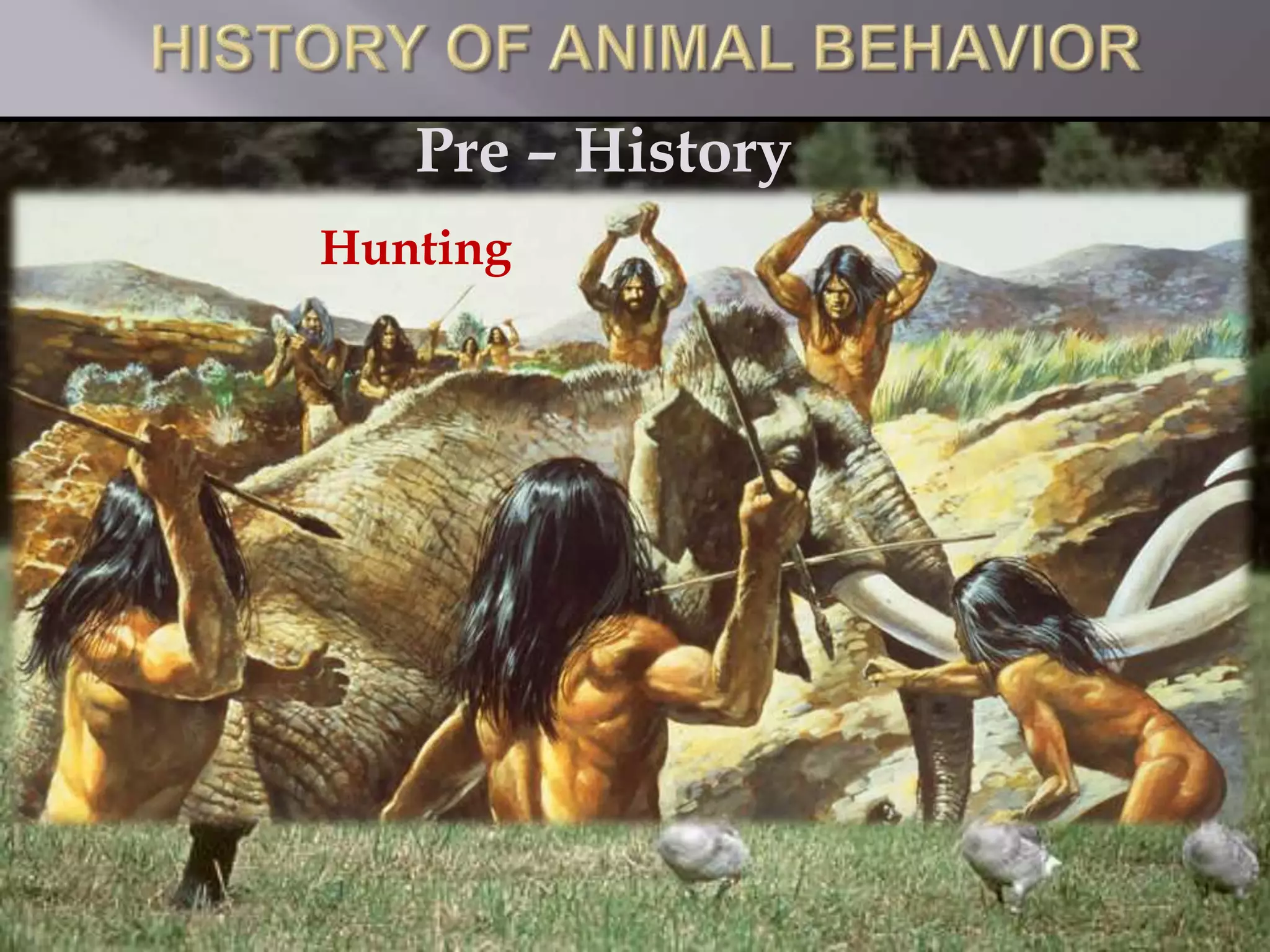 Pre – History
Hunting
 