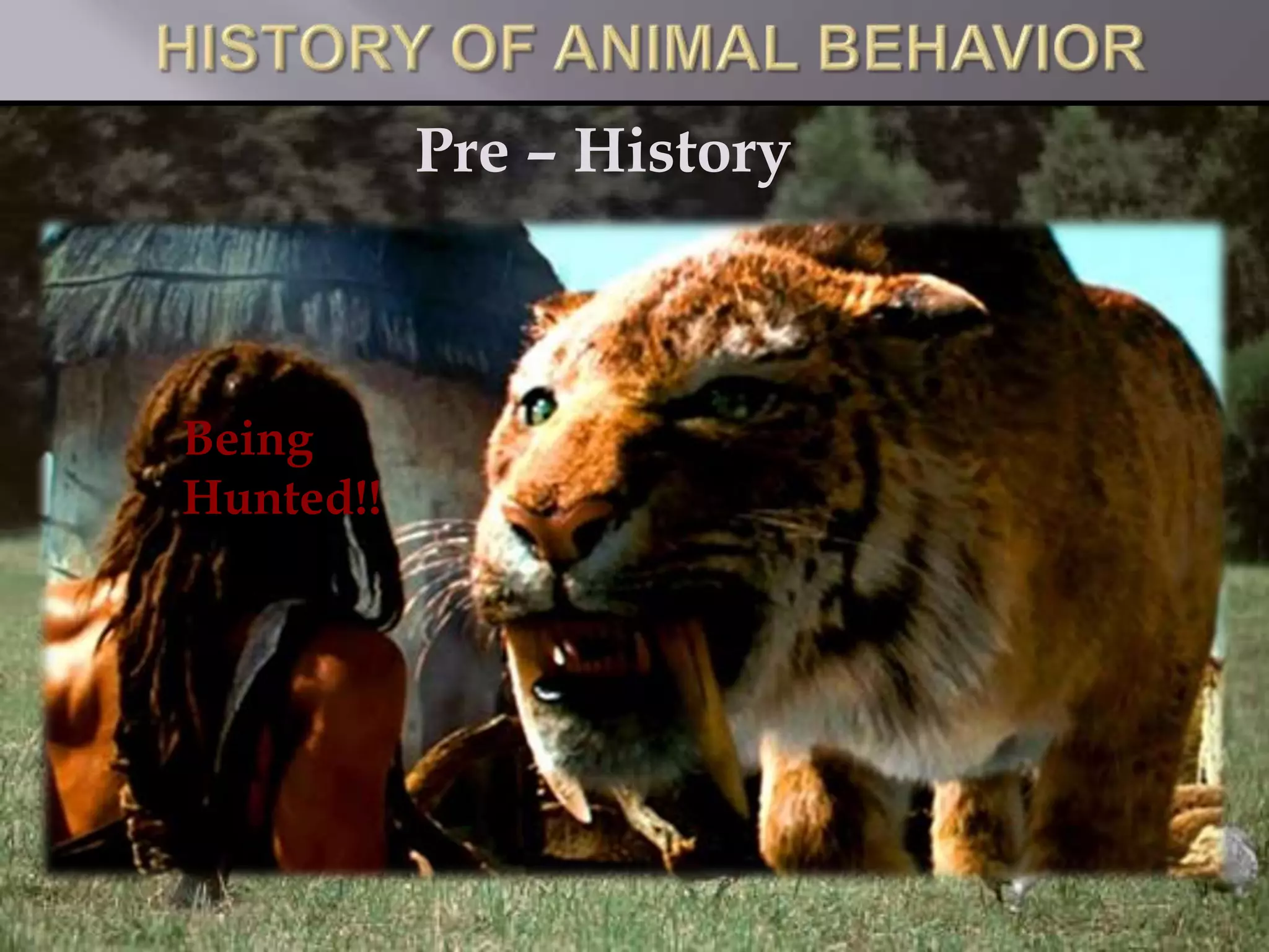 Pre – History
Huntin
g
Being
Hunted!!
 