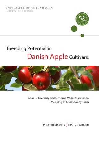 Breeding Potential in Danish Apple Cultivars:
Genetic Diversity and Genome-Wide Association Mapping
of Fruit Quality Traits
PhD Thesis
Bjarne Larsen
Genetic Diversity and Genome-Wide Association
Mapping of Fruit Quality Traits
DEPAR TM ENT OF PLAN T & E N V IR O N ME N TAL SCIENCES
FAC ULT Y OF SC IEN CE · U N IV E R S IT Y O F CO PENHAGEN
PHD T H E SI S 2017 · ISB N 978-87-93476-72-1
BJARNE L ARSEN
Breeding Potential in Danish Apple Cultivars:
Genetic Diversity and Genome-Wide Association Mapping of Fruit Quality Traits
Breeding Potential in
Danish AppleCultivars:
PHD THESIS 2017 | BJARNE LARSEN
BJARNELARSENBreedingPotentialinDanishAppleCultivars
university of copenhagen
faculty of science
 