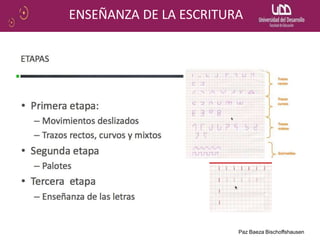 Paz Baeza Bischoffshausen
ENSEÑANZA DE LA ESCRITURA