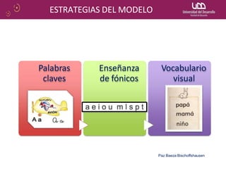 Palabras
claves
Enseñanza
de fónicos
Vocabulario
visual
Paz Baeza Bischoffshausen
ESTRATEGIAS DEL MODELO
