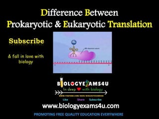10 differences between prokaryotic and eukaryotic translation