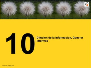 10
                           Difusion de la informacion, Generar
                           informes




© foto hdd 2009 difusion
 