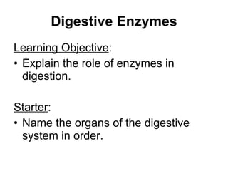 Digestive Enzymes ,[object Object],[object Object],[object Object],[object Object]