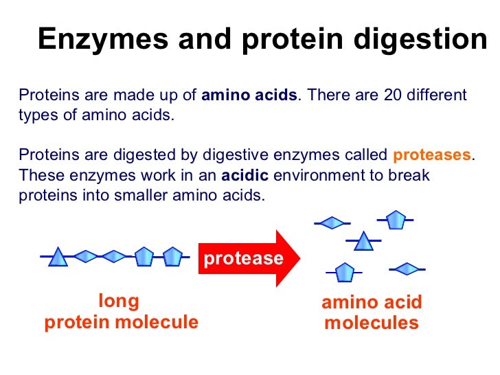 Y7 Life 10 digestive enzymes