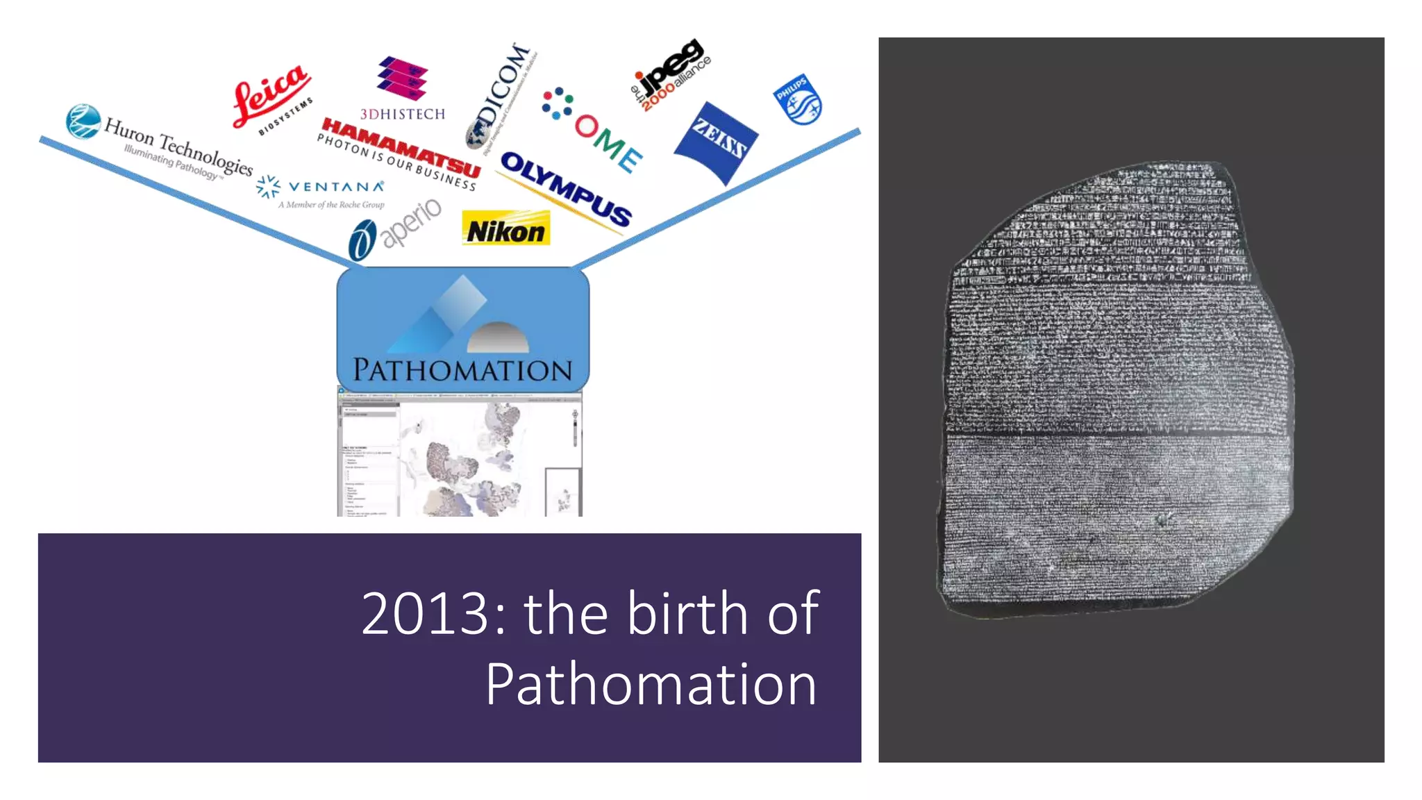 2013: the birth of
Pathomation
 