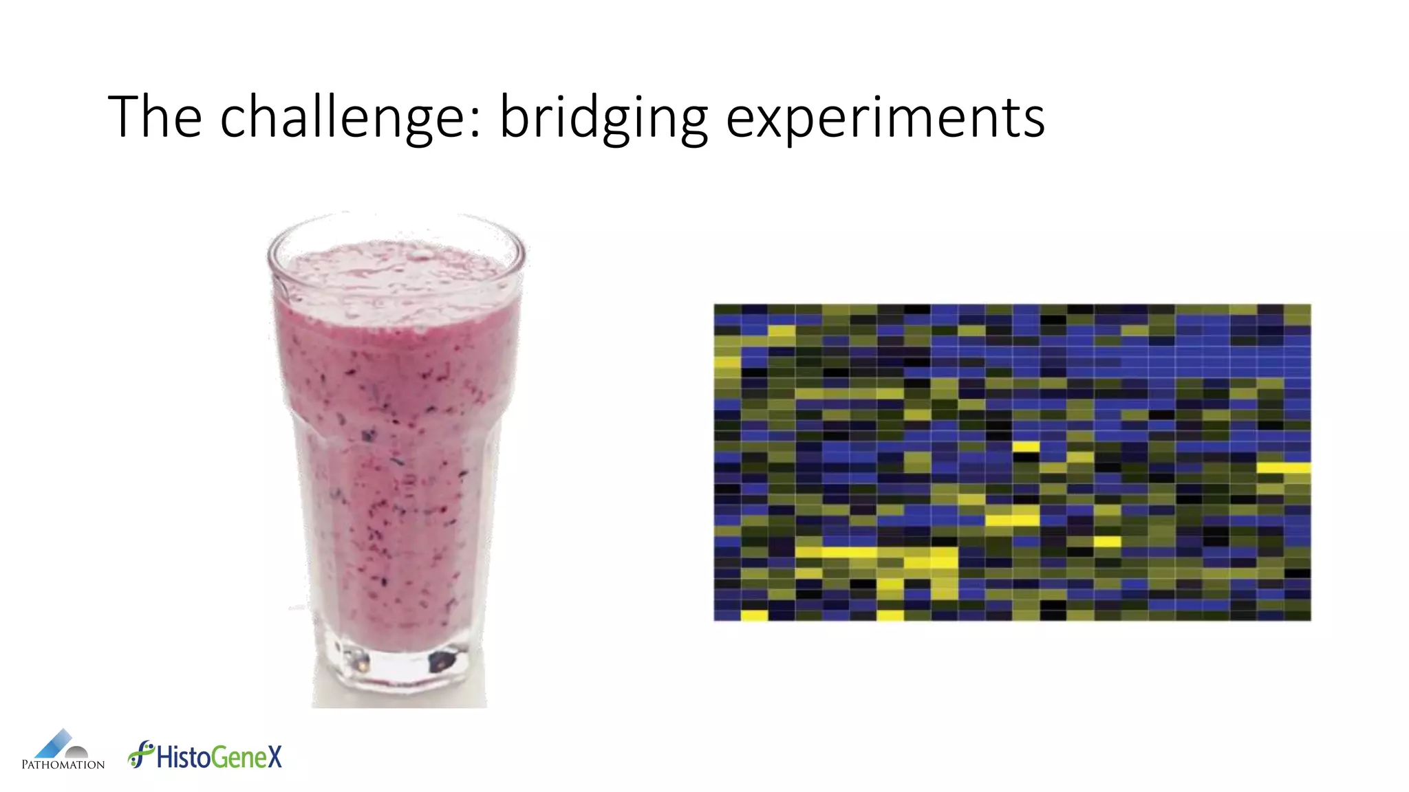 The challenge: bridging experiments
 