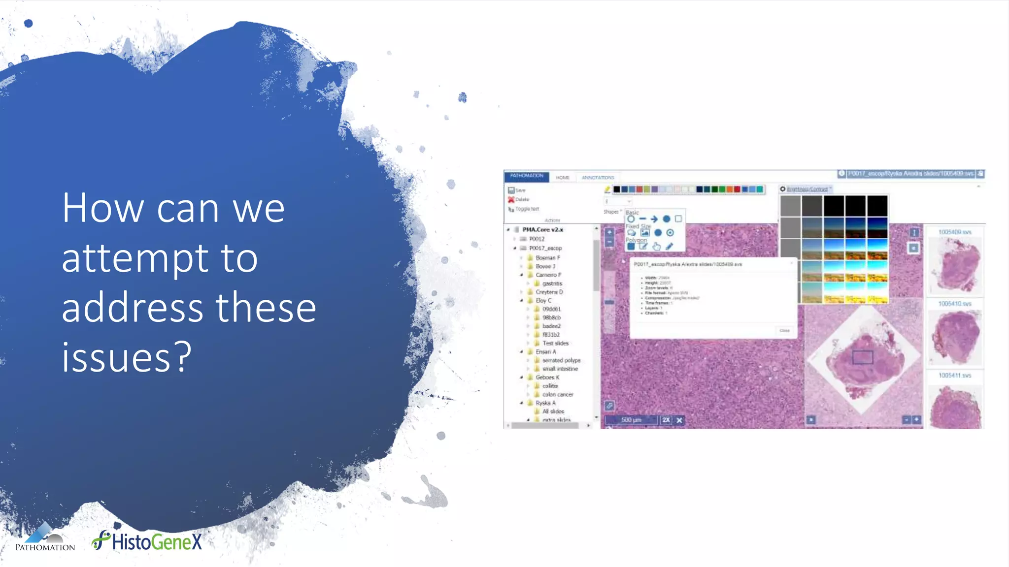 How can we
attempt to
address these
issues?
 