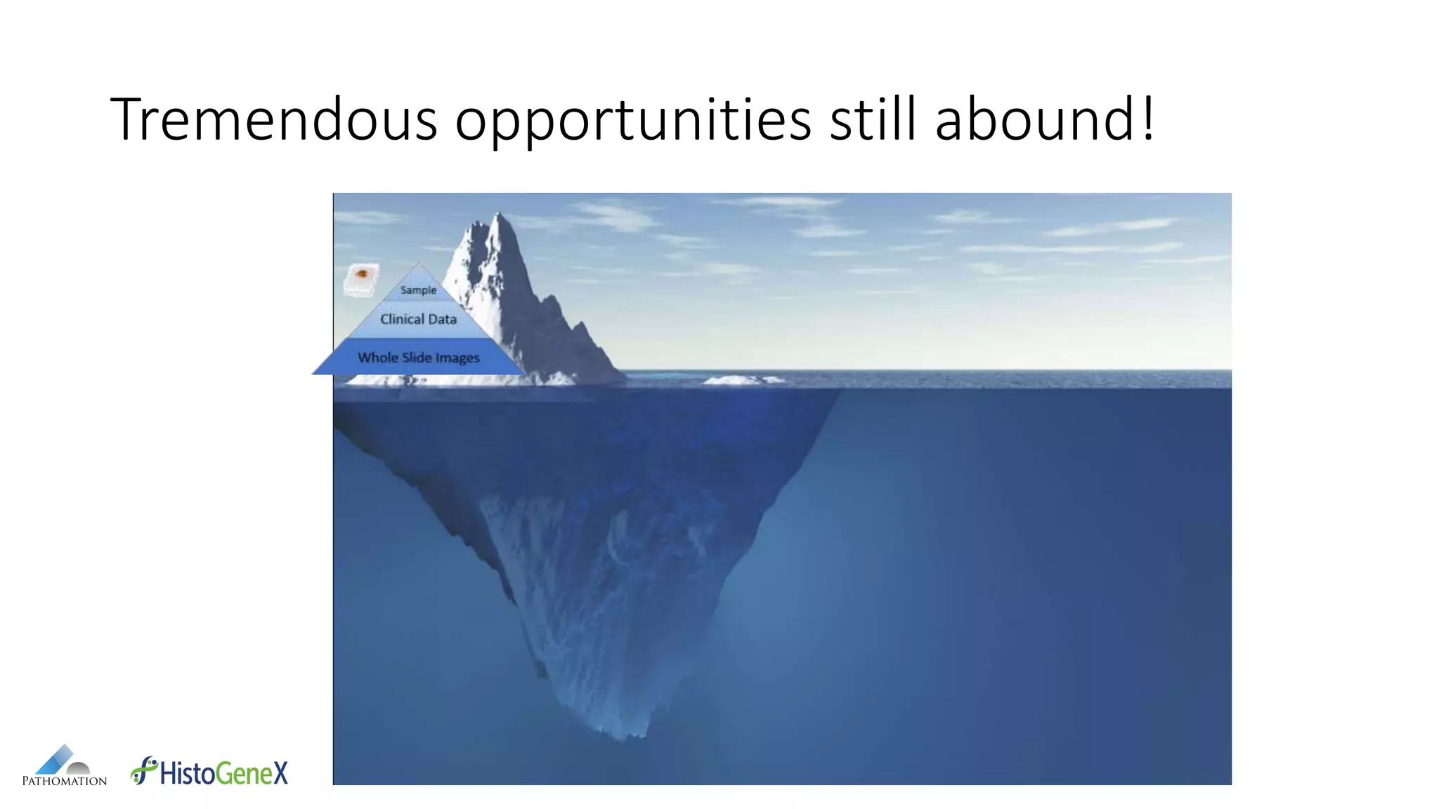 Tremendous opportunities still abound!
 