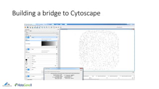 Building a bridge to Cytoscape
 