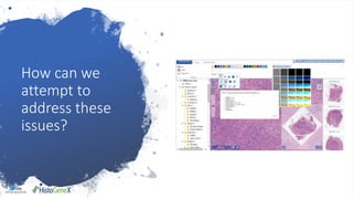 How can we
attempt to
address these
issues?
 