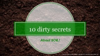 10 dirty secrets
About SOIL!
Source: https://www.audubon.org/news/10-incredible-facts-about-dirt
 