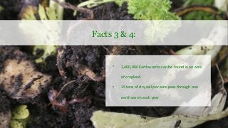 10 Dirty Secrets About Soil