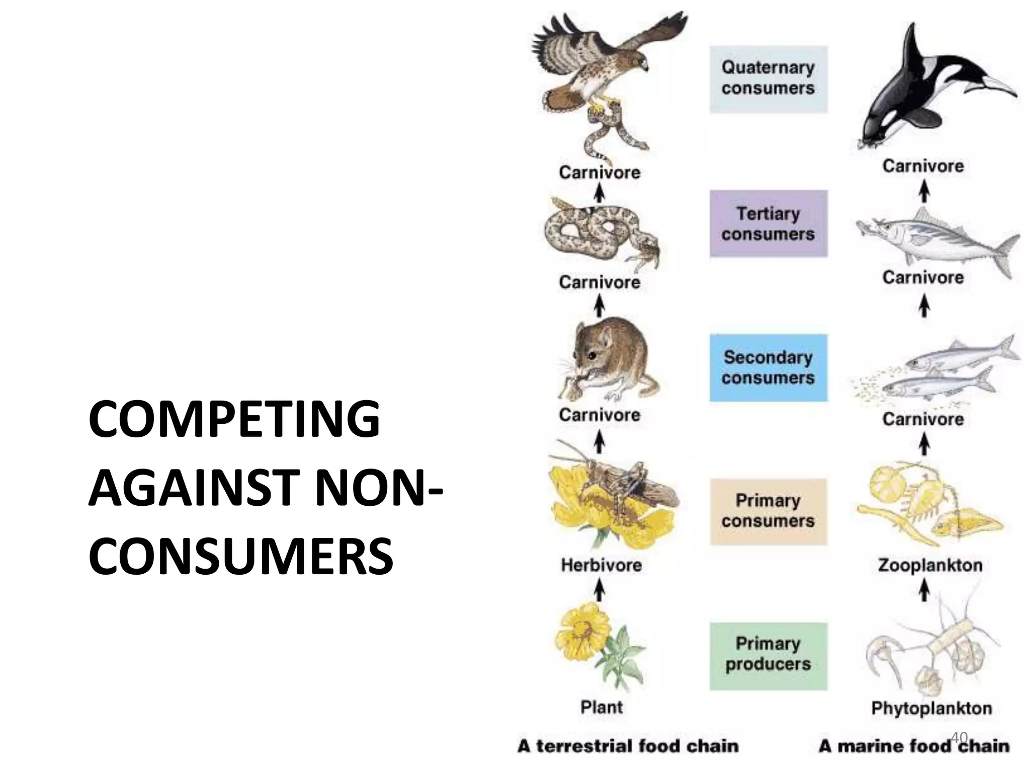 Can we create a business model that enables us to earn attractive profits at the discount prices required to win the business of these over-served customers at the low end?38