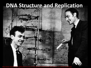 DNA Structure and Replication




http://www.chemheritage.org/discover/chemistry-in-history/themes/biomolecules/dna/watson-crick-wilkins-franklin.aspx
 