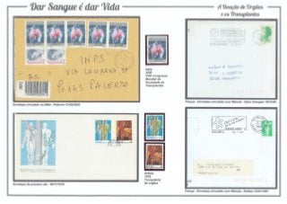 10 - Dar Sangue é dar Vida - A doação de órgãos e os transplantes