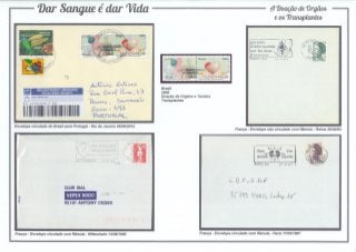 10 - Dar Sangue é dar Vida - A doação de órgãos e os transplantes