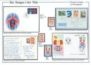 10 - Dar Sangue é dar Vida - A doação de órgãos e os transplantes