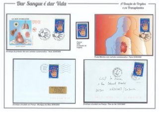 10 - Dar Sangue é dar Vida - A doação de órgãos e os transplantes