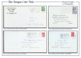 10 - Dar Sangue é dar Vida - A doação de órgãos e os transplantes