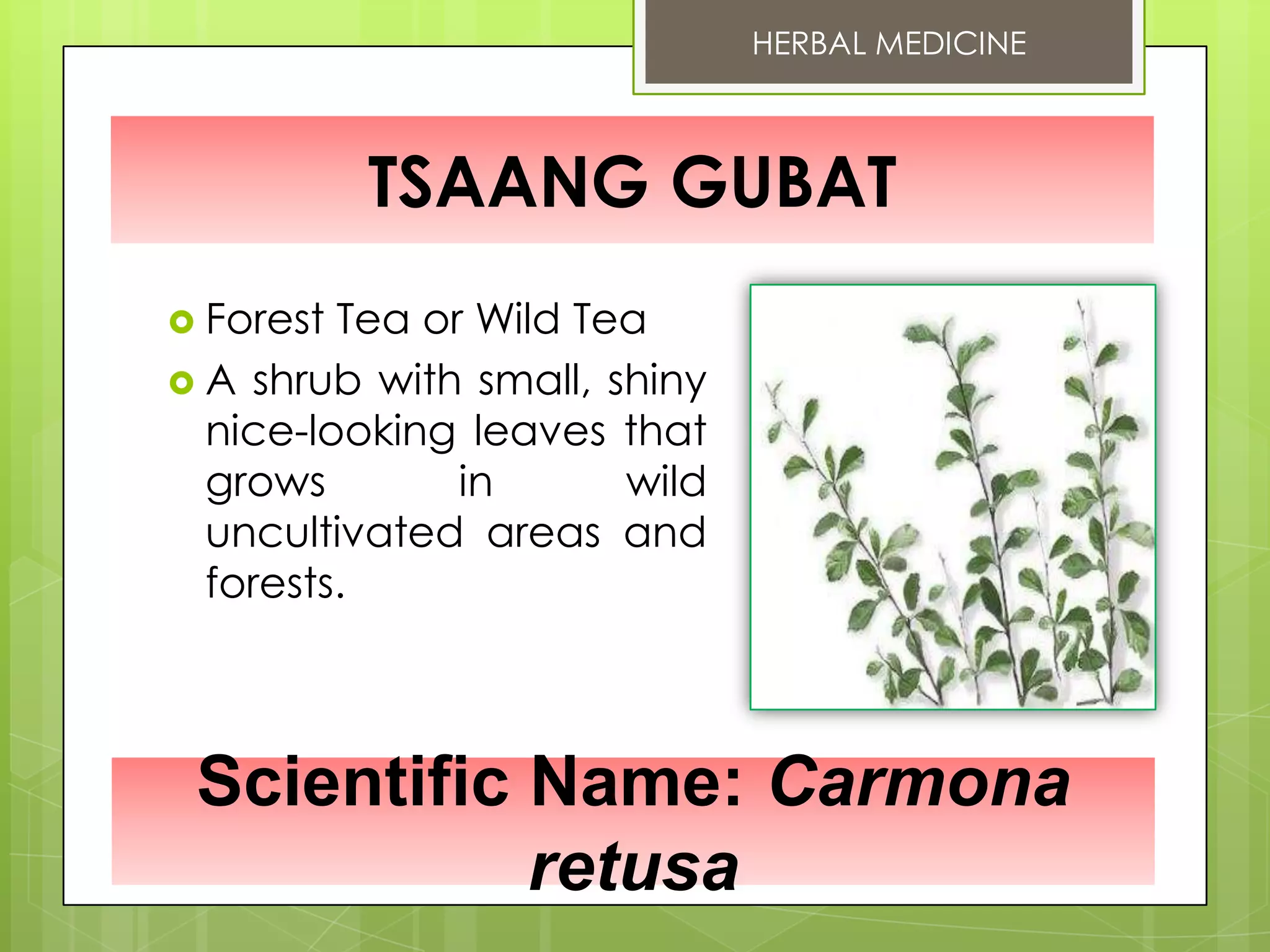 10 DOH Approved Herbal Medicine PPT