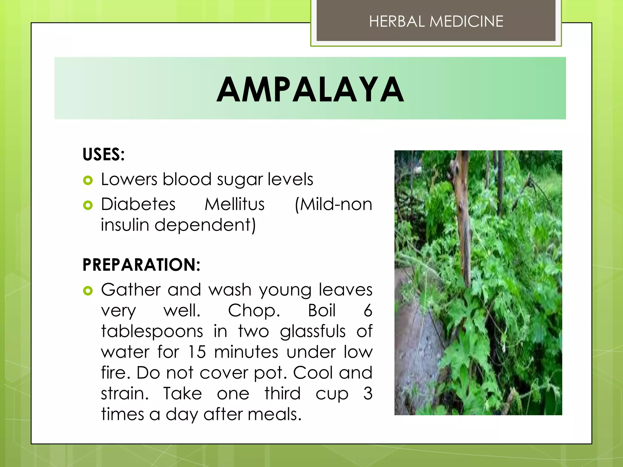10 DOH Approved Herbal Medicine PPT