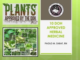 10 DOH
APPROVED
HERBAL
MEDICINE
PAOLO M. ZABAT, RN

 