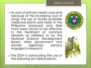Scabies and effective herbal treatments for people - McDowell's Herbal  Treatments