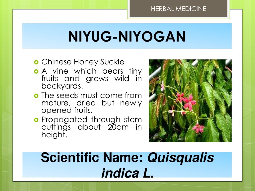 10 DOH Approved Herbal Medicine