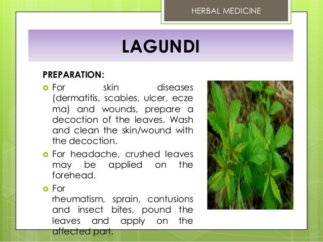 wallpapers Philippine Herbal Plants And Their Uses Pdf 10 doh approved herbal medicine
