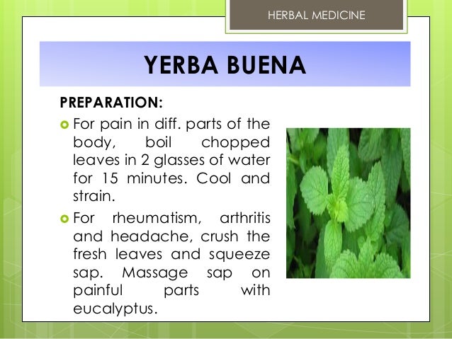 picture Philippine Herbal Plants And Their Uses Pdf 10 doh approved herbal medicine