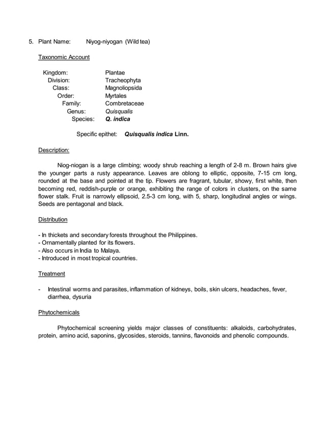 10 DOH Approved Herbal Plants in the Philippines