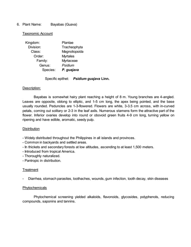 10 DOH Approved Herbal Plants in the Philippines