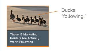 Ducks
“following.”

 