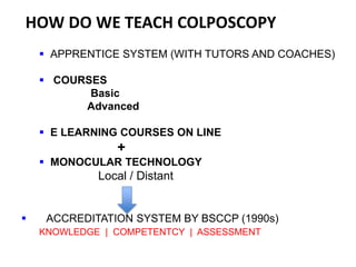 Albert Singer - E-learning and distance learning. How we supervise it | PDF