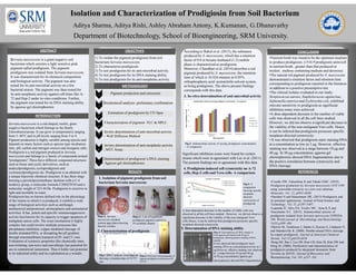 RESEARCH POSTER PRESENTATION DESIGN © 2012
www.PosterPresentations.com
ABSTRACT
METHODOLOGY
CONCLUSION
REFERENCES
Isolation and Characterization of Prodigiosin from Soil Bacterium
Aditya Sharma, Aditya Rishi, Ashley Abraham Antony, K.Kumanan, G.Dhanavathy
Department of Biotechnology, School of Bioengineering, SRM University.
INTRODUCTION
1
Pigment production and extraction
2
Biochemical analysis- preliminary confirmation
3
Estimation of prodigiosin by UV-Spec
Invitro determination of anti-microbial activity
- Well Diffusion Method
6
Invitro determination of anti-neoplastic activity
- MTT Assay
OBJECTIVES
RESULTS
4
4
Serratia marcescens is a gram negative soil
bacterium which secretes a light sensitive pink
pigment called prodigiosin. The pigment
prodigiosin was isolated from Serratia marcescens.
It was characterized for its chemical composition
and biological activity. The pigment was also
tested for its anti-microbial activity on a few
bacterial strains. The pigment was then tested for
its anti-neoplastic activity against cell-lines like A-
72 and Hep-2 under in-vitro conditions. Further,
the pigment was tested for its DNA staining ability
by agarose gel electrophoresis
1) To isolate the pigment prodigiosin from soil
bacterium Serratia marcescens.
2) To characterize prodigiosin.
3) To test prodigiosin for its anti-microbial activity.
4) To test prodigiosin for its DNA staining ability.
5) To test prodigiosin for its anti-neoplastic activity.
Characterisation of pigment- TLC & HPLC
4
5
Determination of prodigiosin’s DNA staining
- Agarose gel electrophoresis7
•Nutrient broth was found to be the optimum medium
to produce prodigiosin. (1516.9 prodigiosin units/cell
in nutrient broth , greater than that produced in
triolein , maltose containing medium and dextrose).
•The natural red pigment produced by S. marcescens
demonstrated a retention factor and retention time
corresponding to prodigiosin reported in the literature
in addition to a positive presumptive test.
•The clinical isolates evaluated in our study-
Streptococcus aureus, Staphylococcus agalactiae,
Salmonella enterica and Eschirechia coli, exhibited
relevant sensitivity to prodigiosin as significant
inhibition zones were achieved.
•A dose-dependent decrease in the number of viable
cells was observed in all the cell lines studied .
However, we did not observe a significant decrease in
the viability of the non-malignant Vero cells. Hence,
it can be inferred that prodigiosin possesses specific
neoplasm directed cytotoxicity .
• It was observed that prodigiosin starts staining DNA
at a concentration as low as 3 µg. However, effective
staining was observed at a range between 10 µg and
40 µg. At 50 µg concentration, agarose gel
electrophoresis showed DNA fragmentation, due to
the positive correlation between cytotoxicity and
DNA cleavage.
•Casullo HW, Fukushima K and Takaki GMC. (2010).
Prodigiosin production by Serratia marcescens UCP 1549
using renewable-resources as a low cost substrate.
Molecules. Vol. 15, p6931-6940
•Darshan N and Manonmani HK. (2015) Prodigiosin and
its potential applications. Journal of Food Science and
Technology. Vol. 52, p5397-5407.
•Lapenda JC, Silva PA, Vicalvi MC , Sena K X and
Nascimento S C. (2015). Antimicrobial activity of
prodigiosin isolated from Serratia marcescens UFPEDA
398. World journal of Microbiology and Biotechnology.
Vol31,p399–406
•Melvin M, Tomlinson J, Saluta G, Kucera G, Lindquist N
and Manderville R. (2000). Double-strand DNA cleavage
by copper prodigiosin. Journal of American Chemical
Society. Vol.122,p6333-6334
•Song MJ, Bae J, Lee DS, Kim CH, Kim JS, Kim SW and
Hong SI. (2006). Purification and characterization of
prodigiosin produced by integrated bioreactor from
Serratia sp. KH-95. Journal of Bioscience and
Bioengineering, Vol. 101, p157–161.
Serratia marcescens is a rod-shaped, motile, gram
negative bacterium which belongs to the family
Enterobacteriaceae. It can grow in temperatures ranging
from 5–40°C and in pH levels ranging from 5 to 9.
Pigment production is highly variable among species and
depends on many factors such as species type incubation
time, pH, carbon and nitrogen sources and inorganic salts.
Prodigiosin is a red pigment produced in Serratia
marcescens and belongs to a family of compounds termed
"prodiginines“.These have different compound structures
such as linear and cyclic derivatives, such as
undecylprodigiosin, cycloprodigiosin and
cyclononylprodigiosin etc. Prodigiosin is an alkaloid with
a unique tripyrrole chemical structure. It has three rings
forming a pyrrolylpyrromethane skeleton with a C-4
methoxy group, a molecular formula C20H25N3O and a
molecular weight of 323.44 Da. Prodigiosin is sensitive to
light and insoluble in water.
Prodigiosin has no known defined role in the physiology
of the strains in which it is produced, it exhibits a wide
range of biological activities such as antifungal,
antibacterial antiprotozoal, antineoplastic and antimalarial
activities. It has potent and specific immunosuppressive
activity best known for its capacity to trigger apoptosis of
malignant cancer cells. The exact mechanism is highly
complex but could involve multiple processes like
phosphatase inhibition, copper mediated cleavage of
double stranded DNA, or disrupting the pH gradient
through transmembrane transport of H+ and Cl- ions.
Evaluation of cytotoxic properties like chemically inert,
non-irritating, non-toxic and non-allergic has potential for
use in commercial sunscreens. Thus it holds vast potential
in its industrial utility and its exploitation as a wonder.
1. Isolation of pigment prodigiosin from soil
bacterium Serratia marcescens
Plate.1: Serratia
marcescens streaked
nutrient agar plates showing
discrete colonies
Plate.2: 2 ml of lyophilized
prodigiosin pigment isolated in
4% acidified ethanol
2. Characterisation of prodigiosin
Fig.1: HPLC analysis of prodigiosin
showing a retention time of 10.757
min.
Plate.3: Thin layer chromatography of
pigment prodigiosin exhibiting an Rf
of 0.81
According to Rahul et al. (2015), the substance
produced by S. marcescens, which has a retention
factor of 0.8 in hexane:methanol (1:2) mobile
phase is characterized as prodigiosin.
Moreover, Chaudhari et al. (2014) describes a red
pigment produced by S. marcescens, the retention
time of which is 10.424 minutes in 0.05%
orthophosphoric acid: acetonitirile solvent system,
as being prodigiosin. The above present findings
corresponds with this data.
3. In-vitro determination of anti-microbial activity
Fig.2: Antimicrobial activity of varying prodigiosin concentration
- A comparison
Significant inhibition zones were found for certain
strains which were in agreement with Lee et al. (2011).
The present findings are in agreement with this data.
4. Prodigiosin induced cell cytotoxicity on A-72
cells, Hep-2 cells and Vero cells- A comparison
Fig.3: A
comparison
showing specific
neoplasm
directed
cytotoxicity of
prodigiosin.
A dose-dependent decrease in the number of viable cells was
observed in all the cell lines studied . However, we did not observe a
significant decrease in the viability of the non-malignant Vero
cells.Hence, it can be inferred that prodigiosin possesses specific
neoplasm directed cytotoxicity
5. Determination of DNA staining ability
Plate.4: Electrophoresis of DNA samples in
0.8% agarose gel stained with 30 µg of
prodigiosin, showing positive staining of DNA
samples
It was observed that prodigiosin starts
staining DNA at a concentration as low as 3
μg.However, effective staining was observed
at a range between 10 μg and 40 μg.
At 50 μg concentration, agarose gel
electrophoresis showed DNA fragmentation.
 