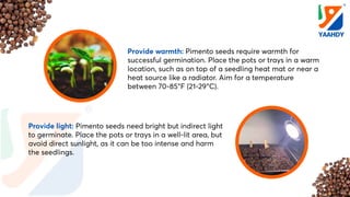 10 Easy Steps to Growing Pimento Seeds.pdf