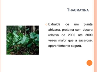 THAUMATINA
 Extraída de um planta
africana, proteína com doçura
relativa de 2000 até 3000
vezes maior que a sacarose,
aparentemente segura.
 